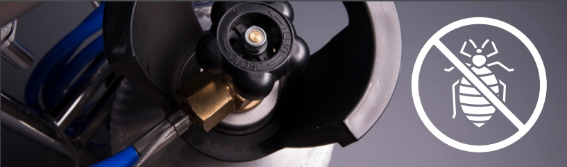 Wymrażanie pluskwy Kraków